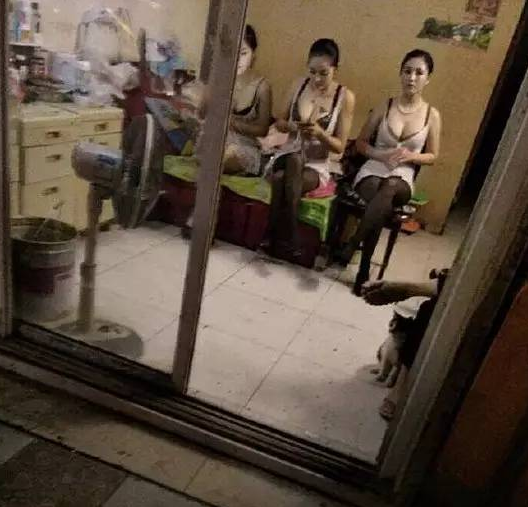 每次经过这里都让我春心荡漾